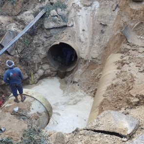 324263872_557239379792609_4154091862693133938_n