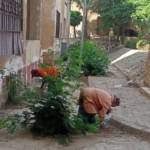 486cc021-5582-4c15-8963-9e10fbdb95a1-1